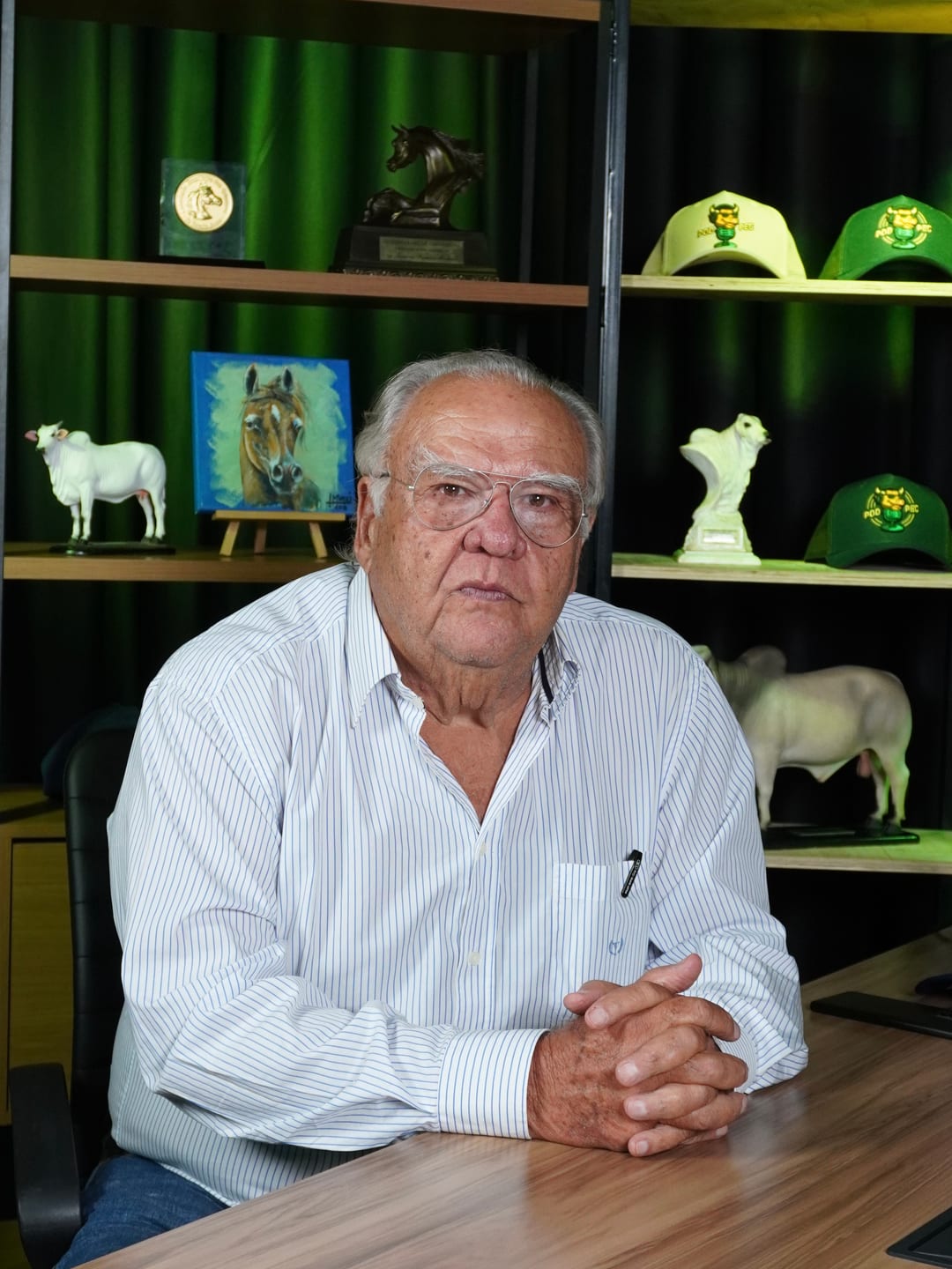 Luiz Bonilha