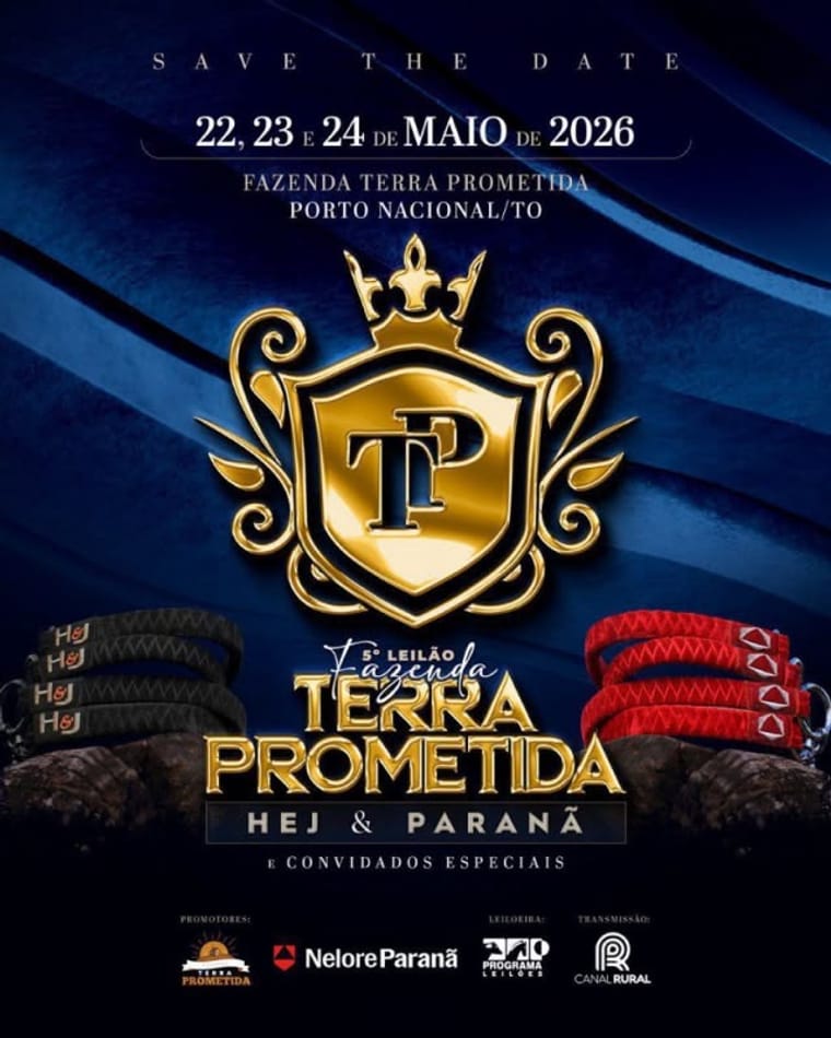 Leilão Terra Prometida